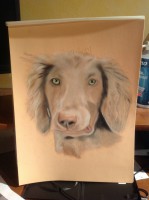 /album/galerie-photos/isa-012-jpg/